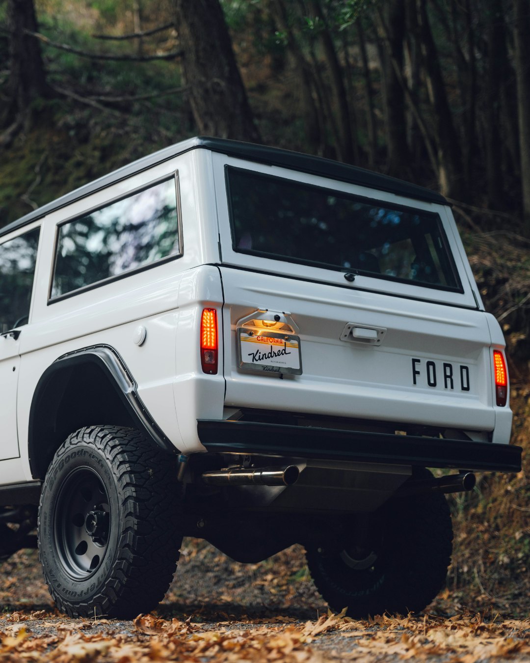 Black and White Roof