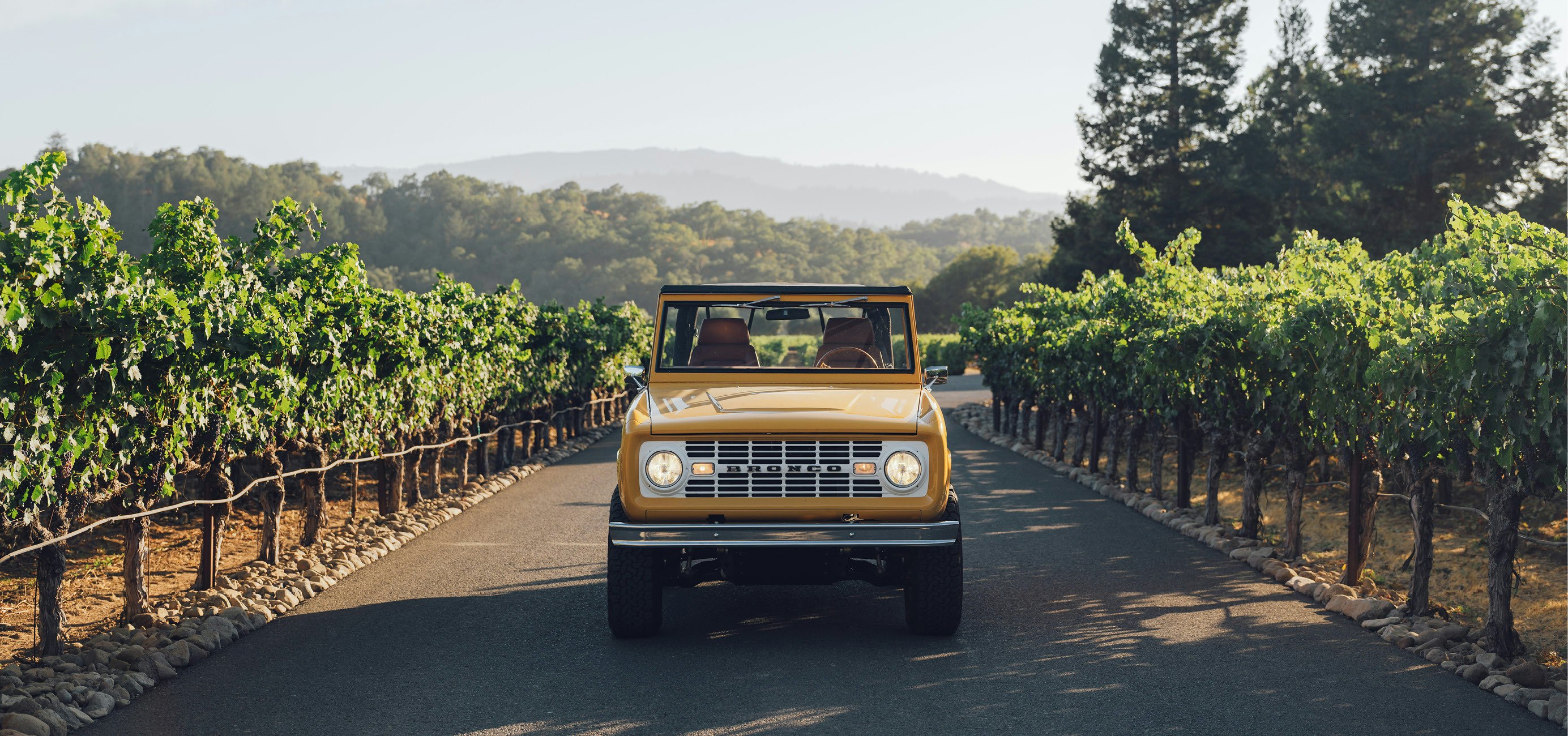 Grayback EVP Images 01