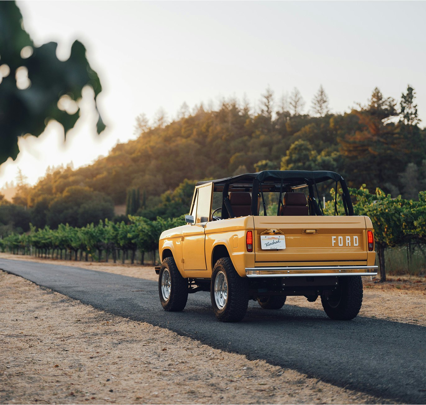 Grayback EVP Images 04