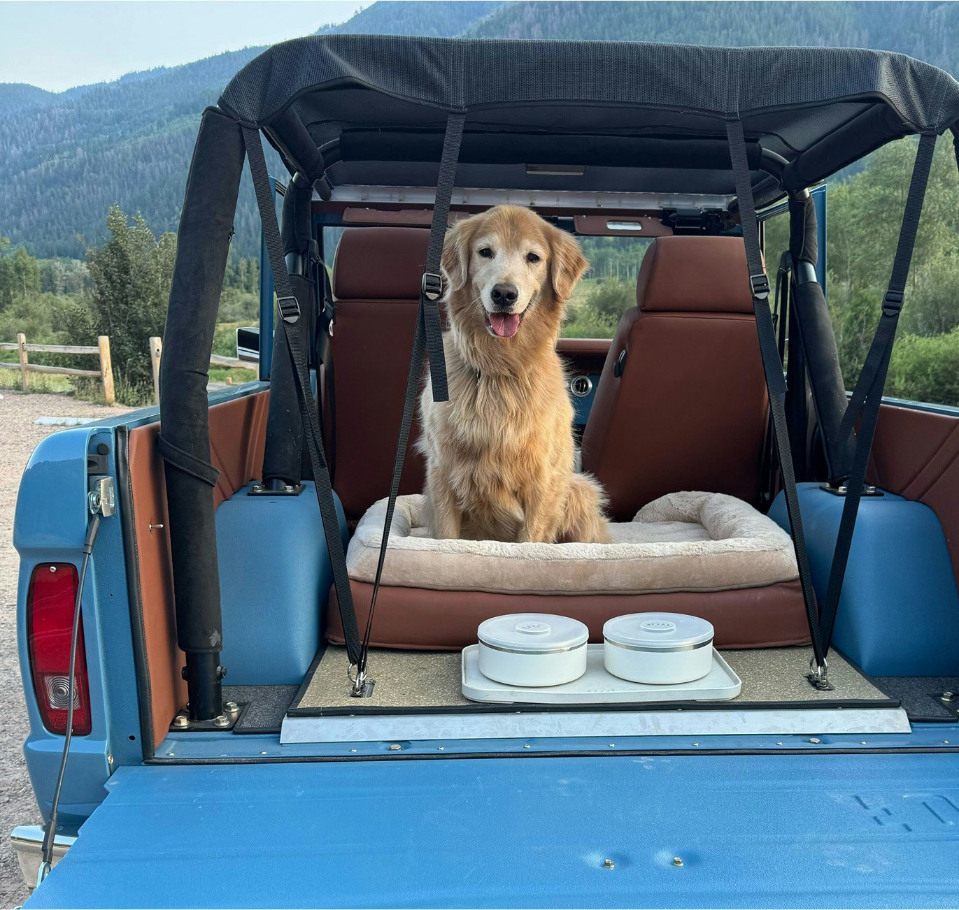 Kens Dog Bed R1 06
