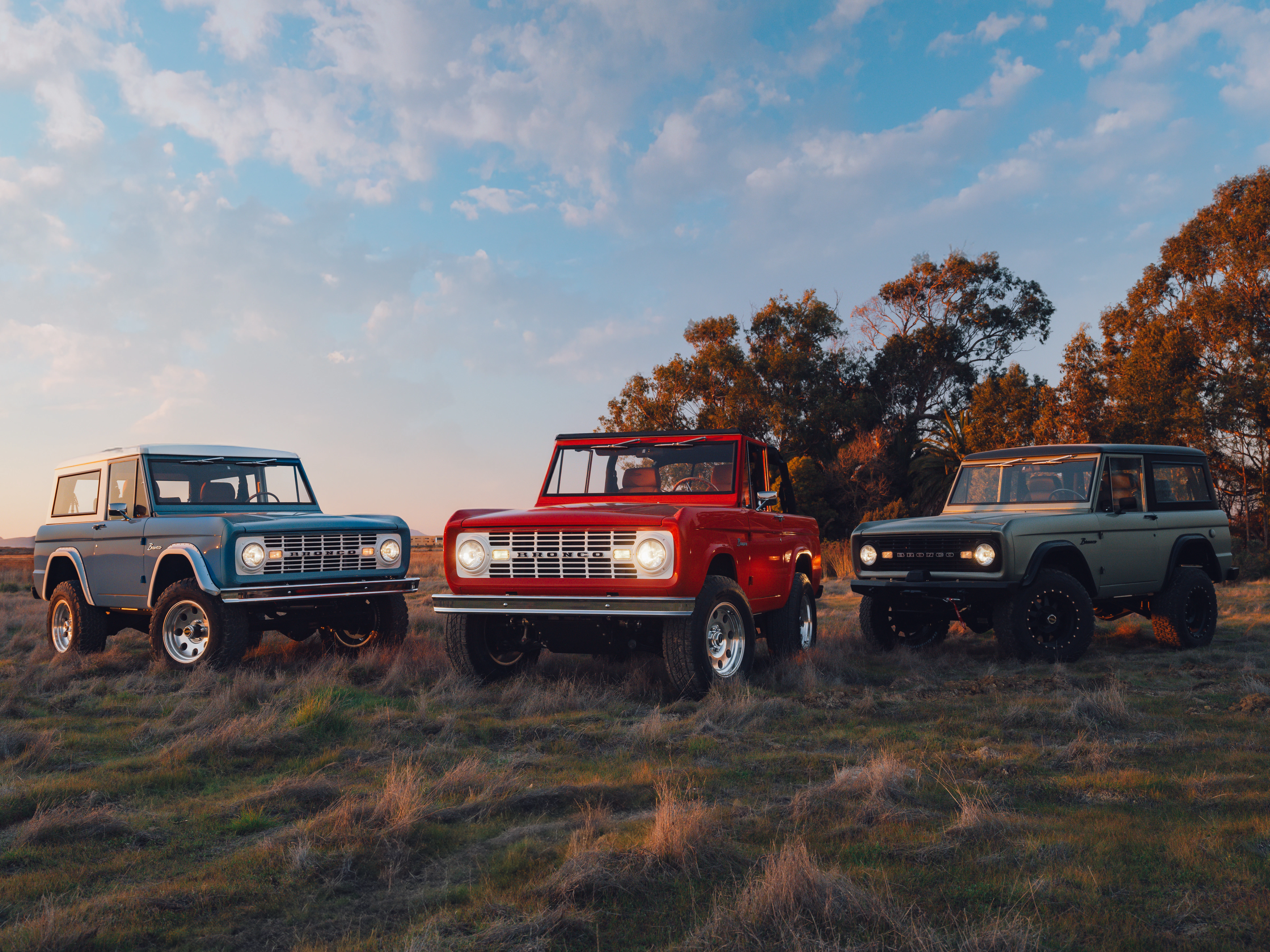 Kindred Bronco Family