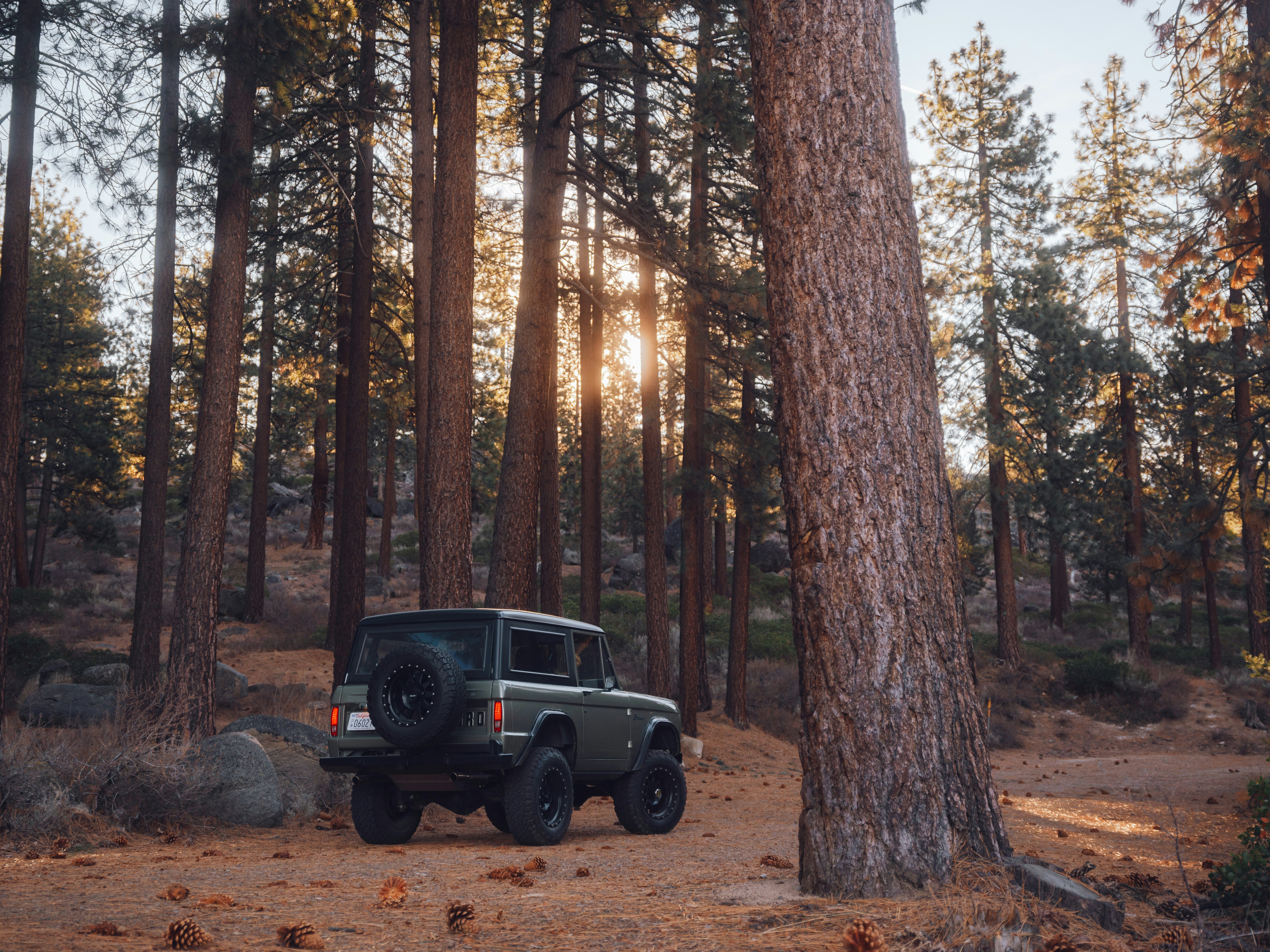 Tahoe Sage Green Trail 53