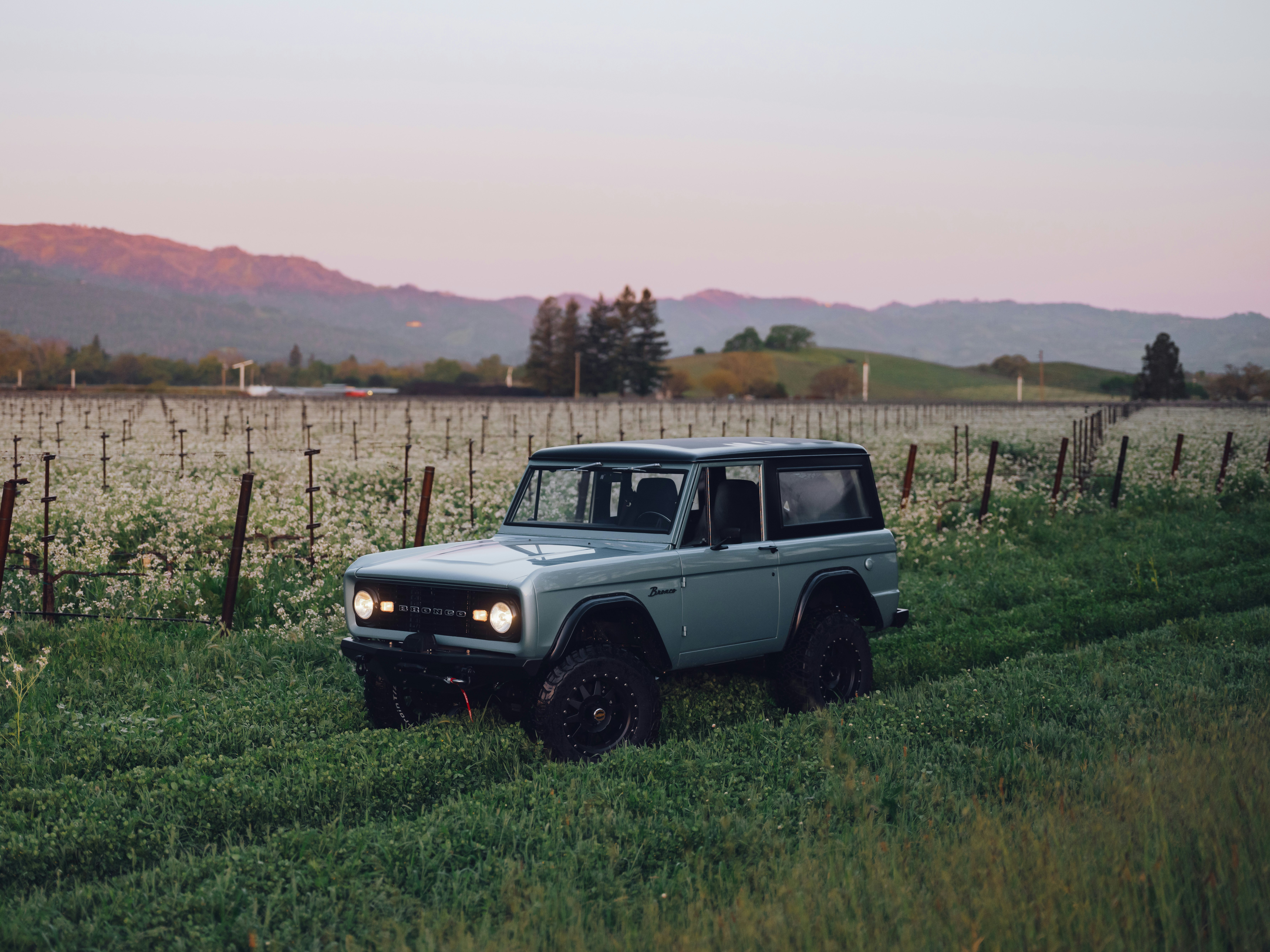 Trail Package Icy Blue Vineyard